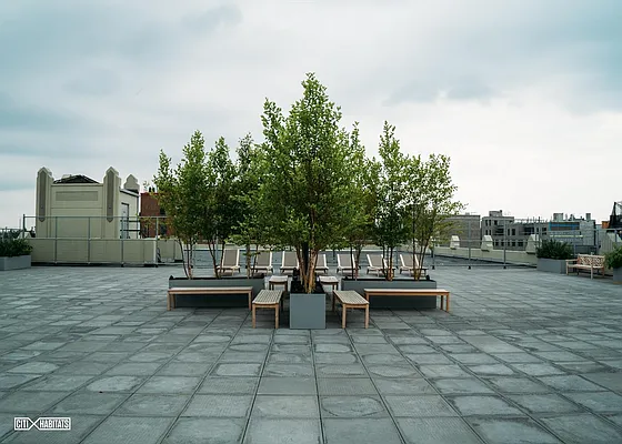 Rented by Citi Habitats | media 9