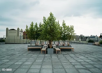 Rented by Citi Habitats