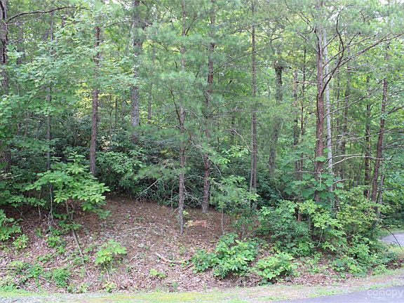 4th image of 0 Lakewood Dr #65