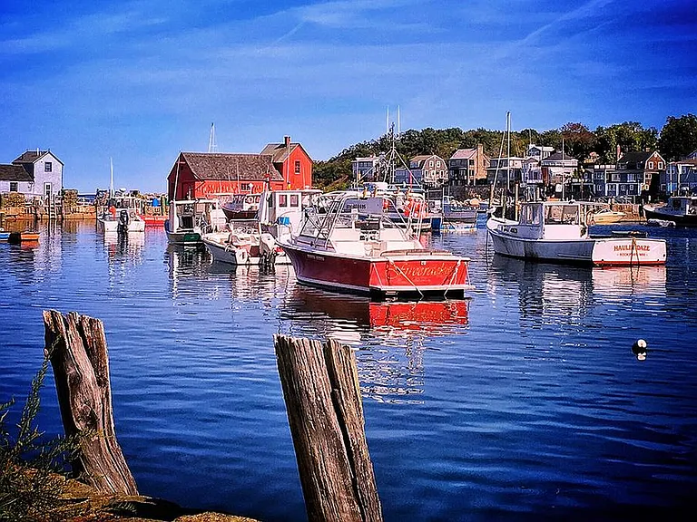 Danvin Ct — Photo 15