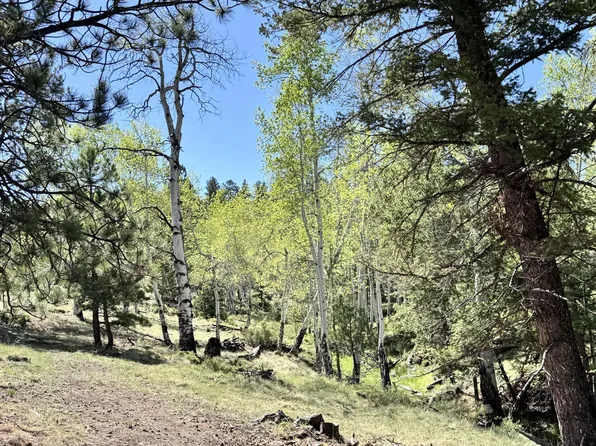 Tbd Dilley Rd, Westcliffe, CO 81252
