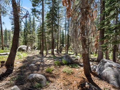21752 Lotta Crabtree Ter, Soda Springs, CA, 95728