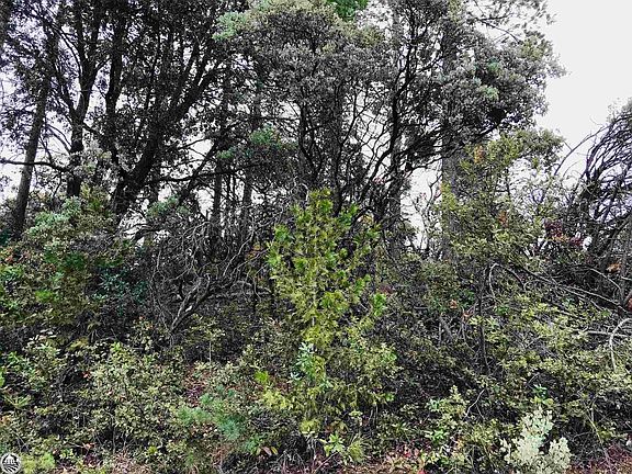 4th image of 18525 El Capitan Way