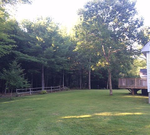 Back lawn