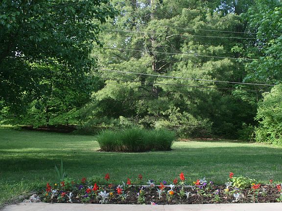 Parklike private back yard