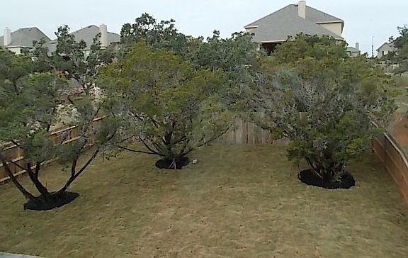 ExteriorRear