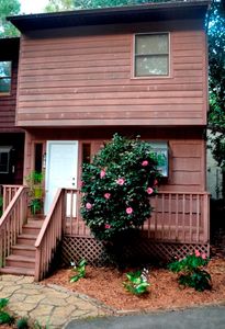 1766 Beechwood Cir N, Tallahassee, FL, 32301