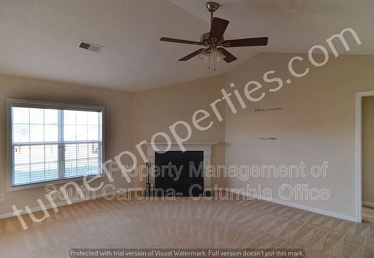 203 Summit Springs Dr — Photo 8