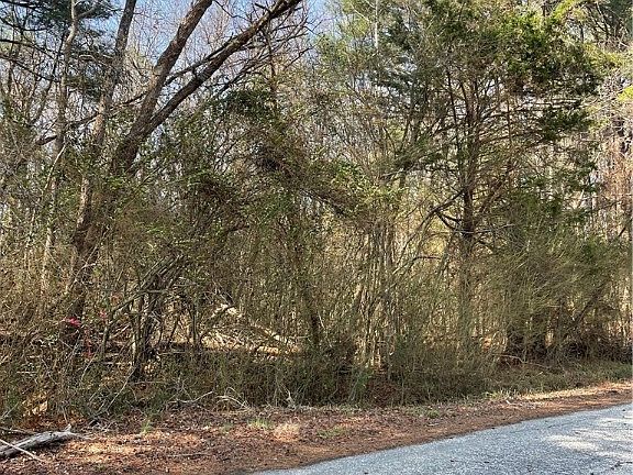 2nd image of 0 Laurel Park Rd Lot 22