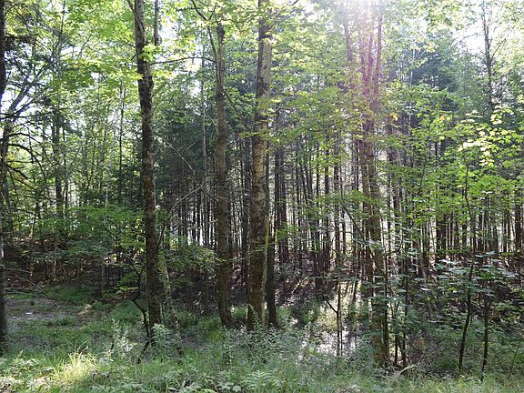 3rd image of Lot 295 Kearsage Drive #295