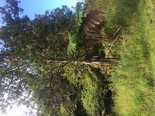 2nd image of Kilikaa Rd Lot 9