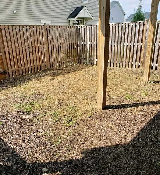 Fenced back yard