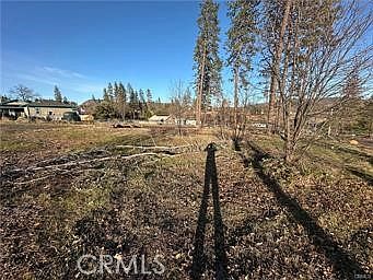 4th image of 1805 Stark Ln