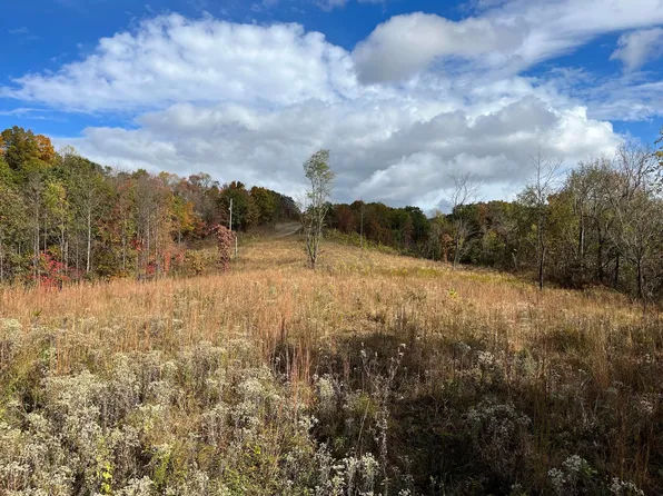 50143 S Bigley Ridge Rd, Long Bottom, OH 45743