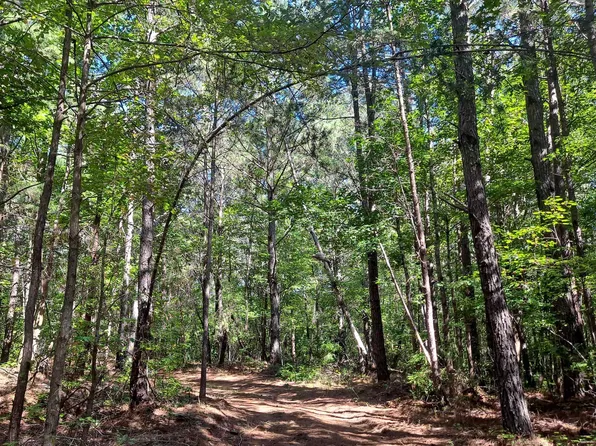 246 Albert Dr, Nauvoo, AL 35578