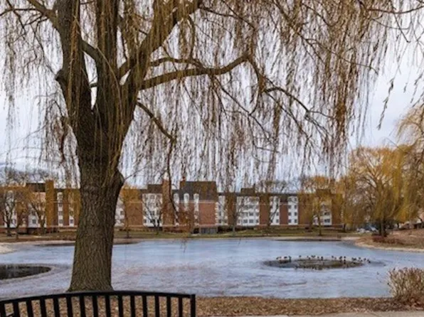 225 Lake Blvd APT 517, Buffalo Grove, IL 60089