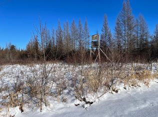 508 Cedar Valley Rd, Floodwood, MN 55736