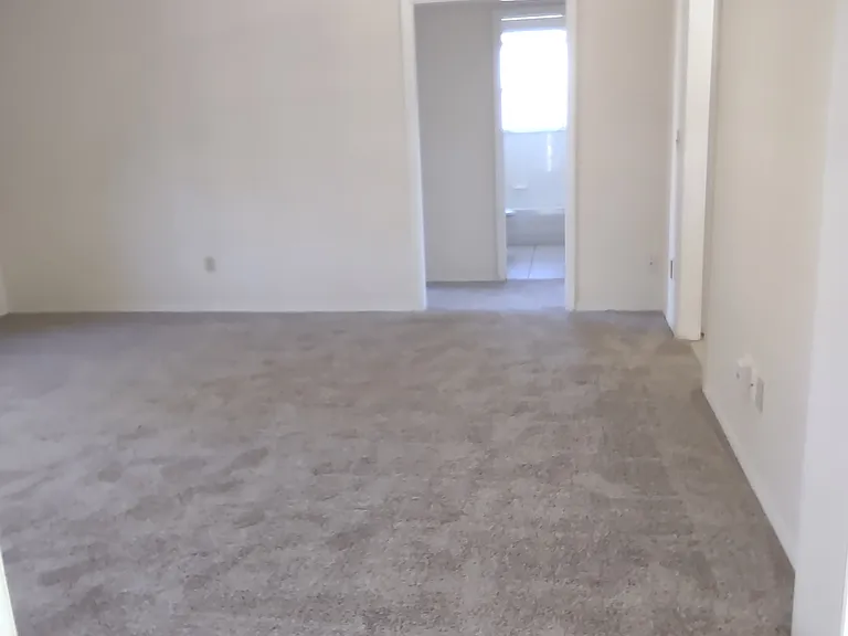 101 Leon Ave — Photo 9
