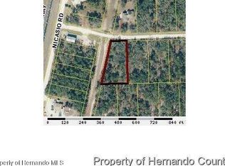 10188 Maybird Ave, Weeki Wachee, FL 34613