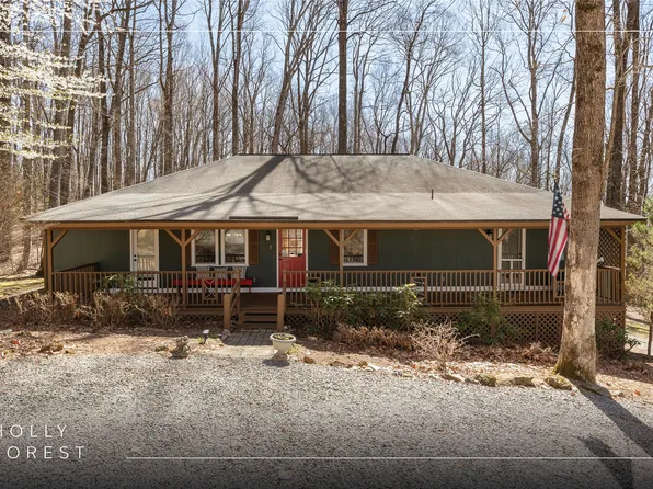 1603 Black Oak Drive, Sapphire, NC 28774