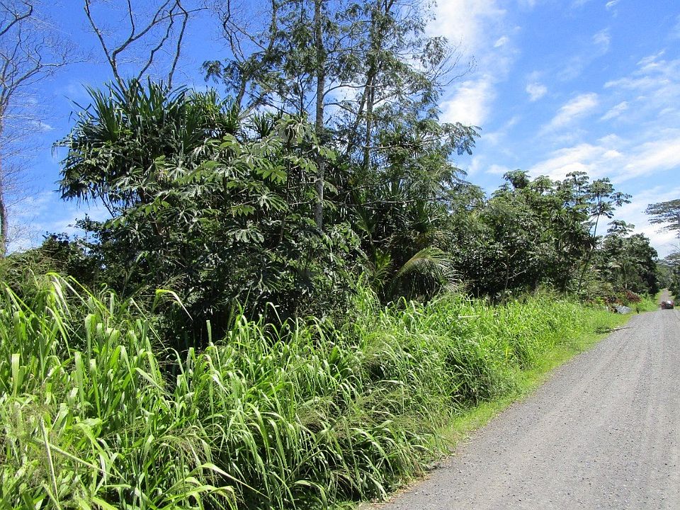 2nd image of 11th Avenue Kika Lot 776