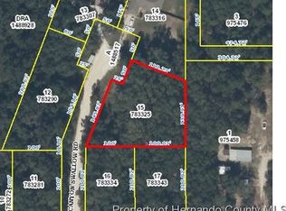 14356 Canyon Swallow Rd, Weeki Wachee, FL 34614