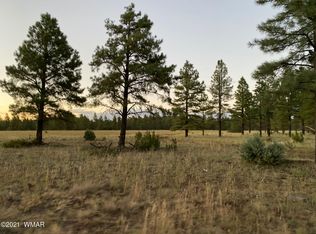 9250 Dynamite Rd, Lakeside, AZ 85929