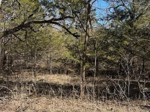 7789 W Co Rd T-561, Ava, MO 65608