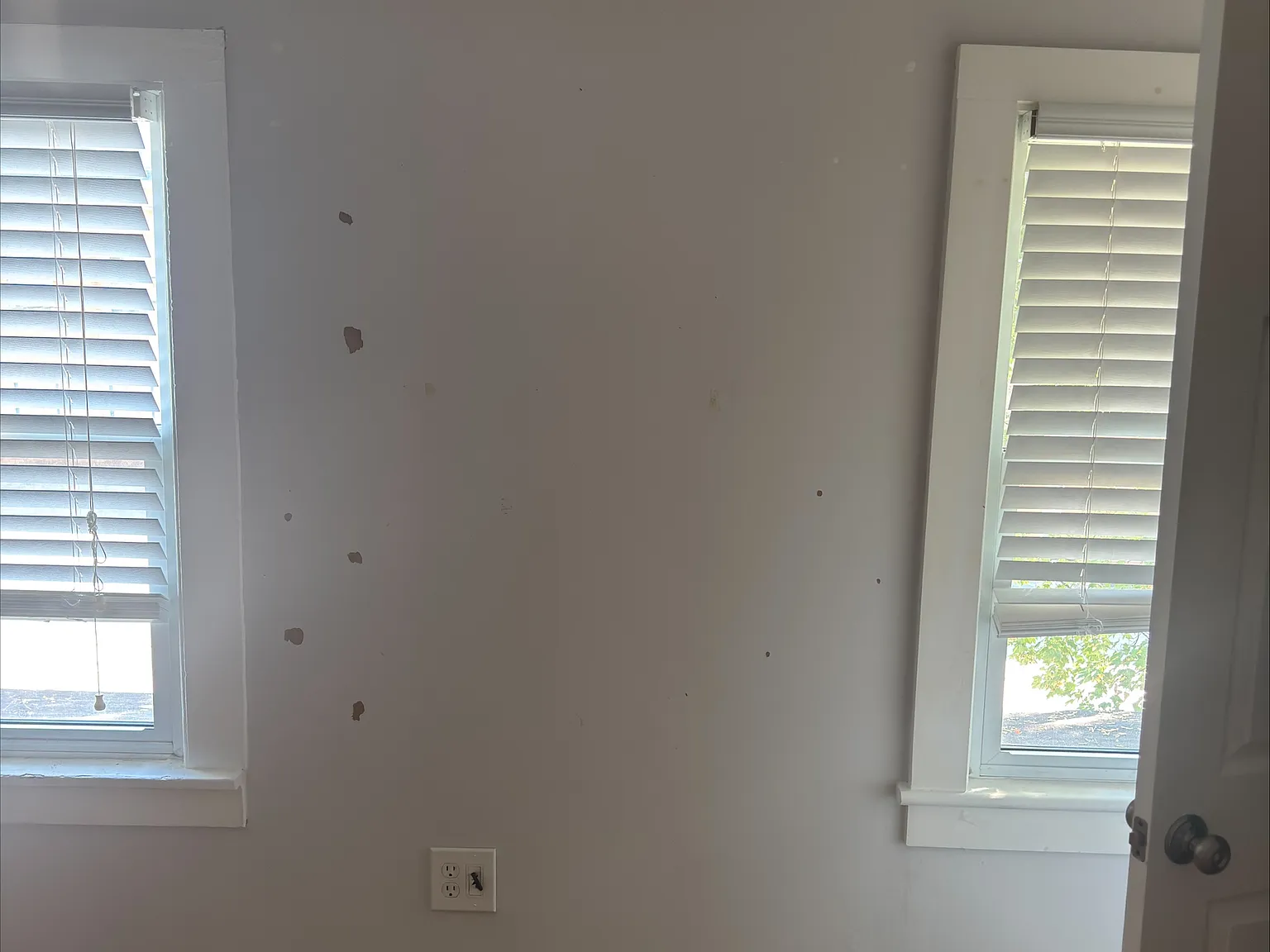 2 bed, $1,850 — Photo 3