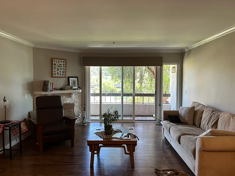 Living room and balcony.