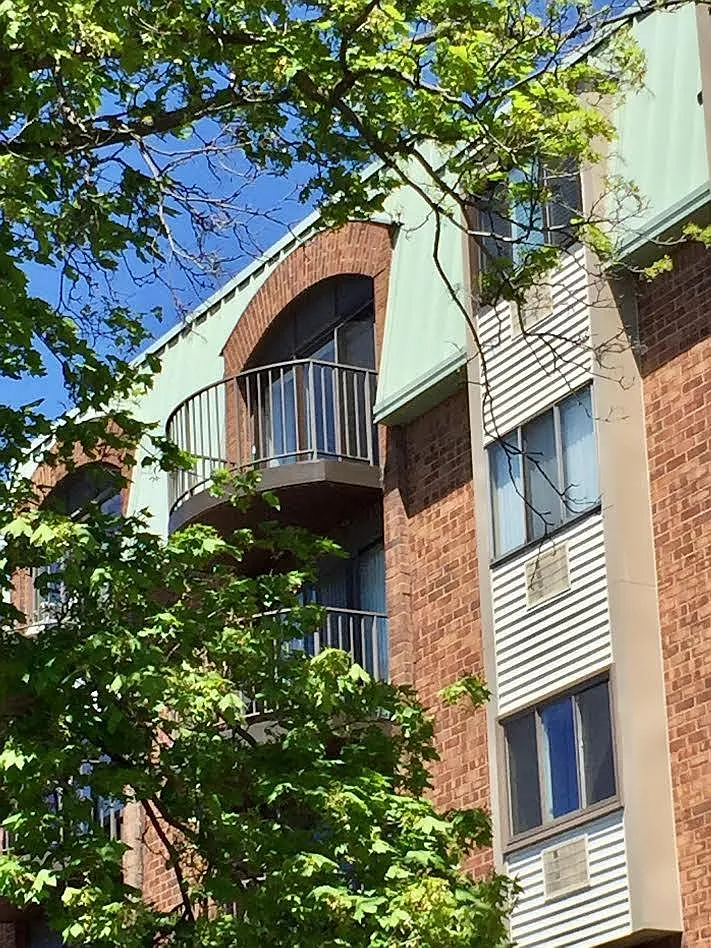 1 bed, 740 sqft, $1,875 — Photo 1