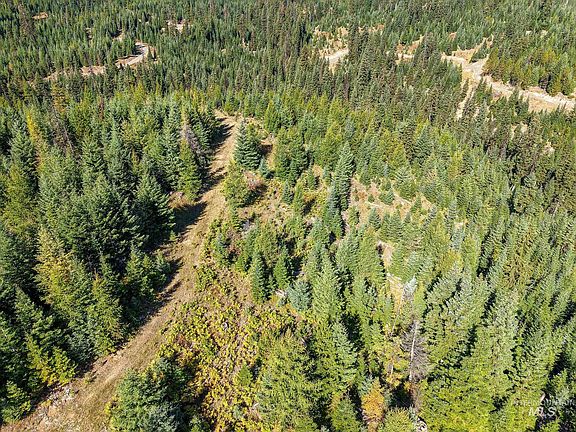 2nd image of PARCEL 10 Tree Farm Trails Rd