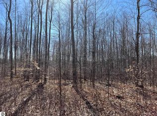 PARCEL 1 King Rd, Benzonia, MI 49616