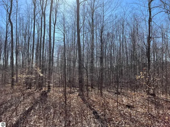 PARCEL 1 King Rd, Benzonia, MI 49616
