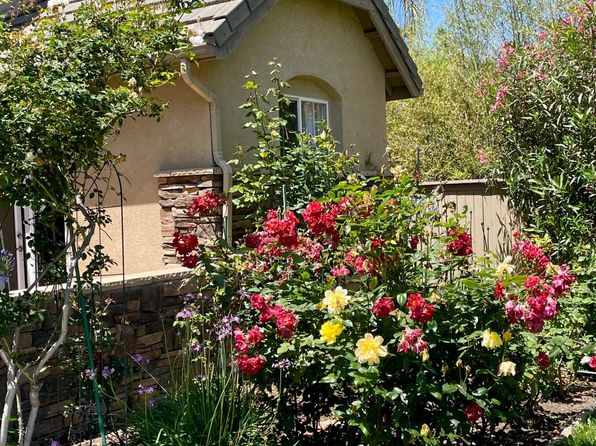 16786 Summit Vista Dr #1