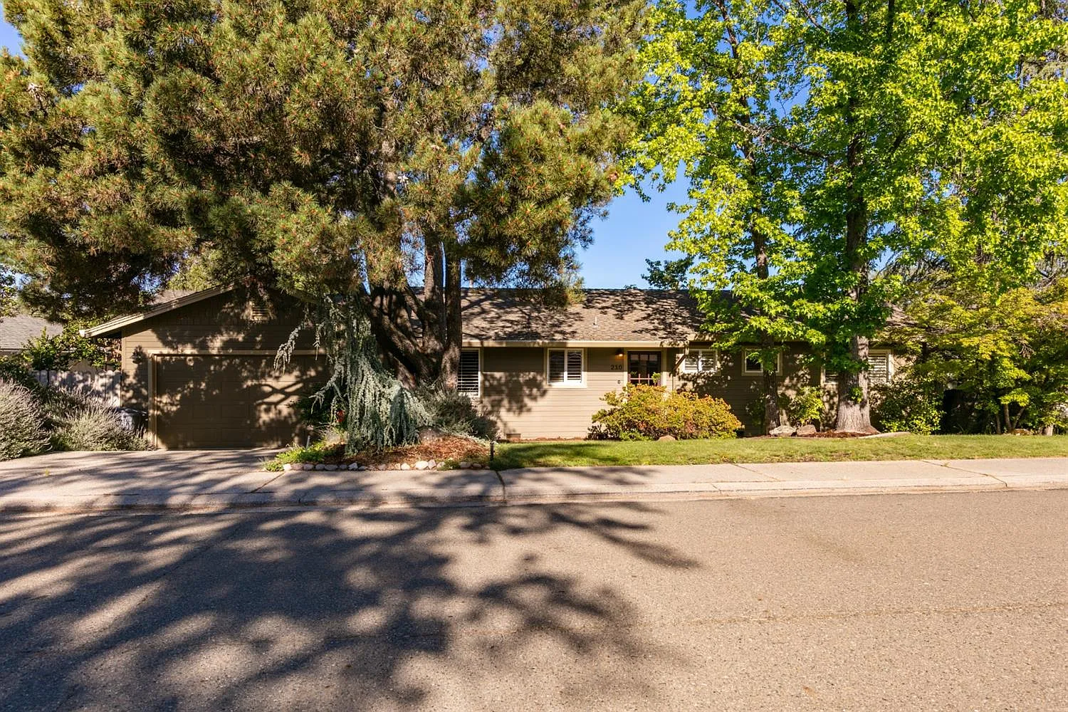 210 Ginger Dr photo 1
