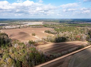 587 Mays Rd, Leslie, GA 31764