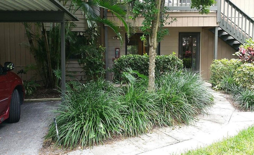 Entrance and front patio