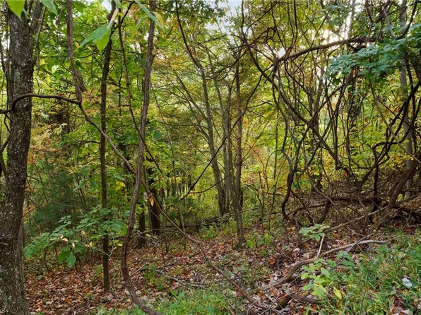 16 Little Ivy Ln, Deep Gap, NC 28618