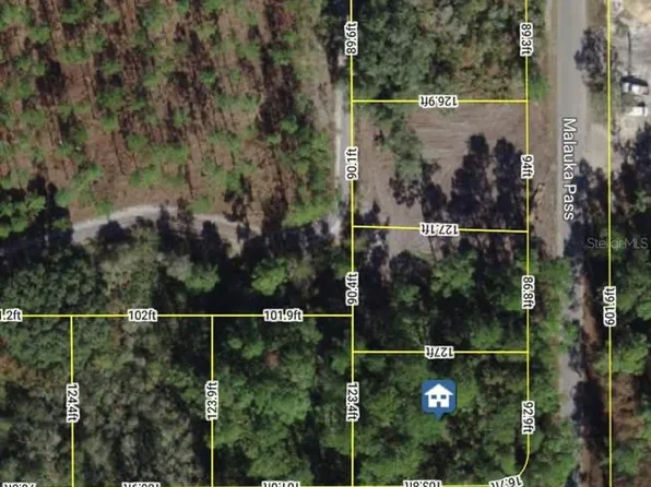 Malauka Pass Lot 4, Ocklawaha, FL 32179