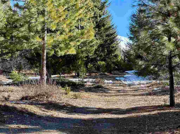 PARCEL 3 Deetz Rd, Mount Shasta, CA 96067