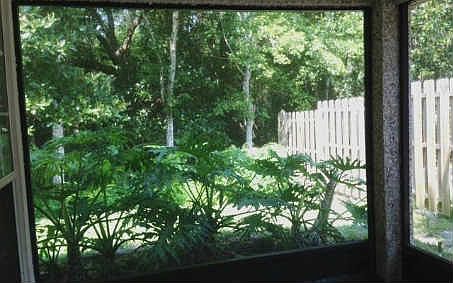 5th image of 2545 Robert Oliver Ave