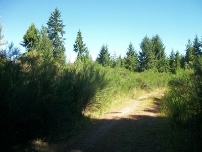 0 Log Yard Rd, Belfair, WA, 98528