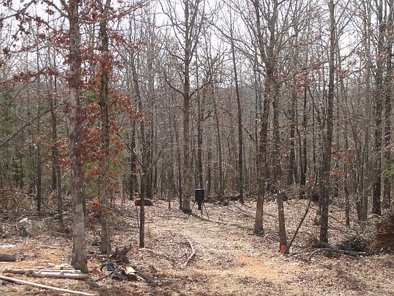 view from the back of house