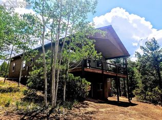 37 Paint Pony Ln, Florissant, CO 80816