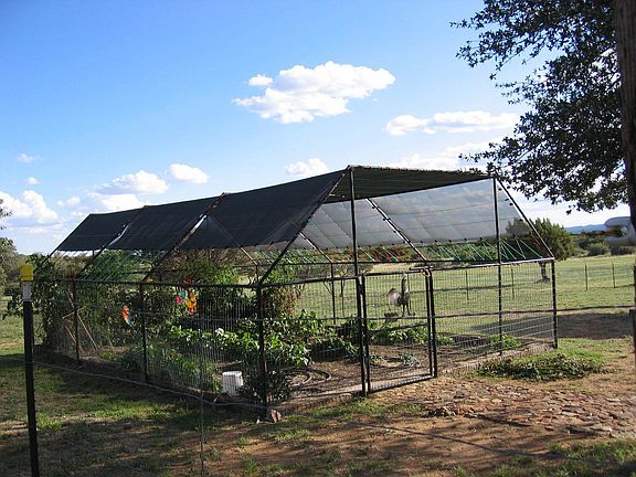 16x24 enclosed garden