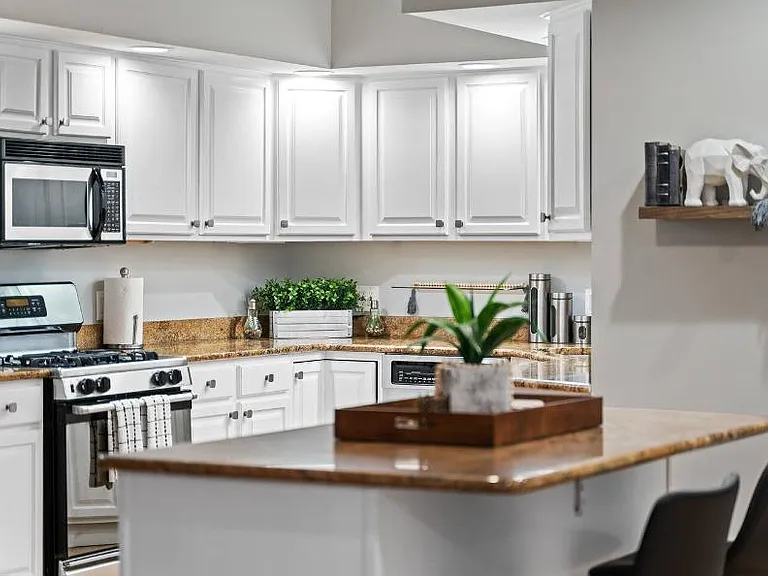 1450 W Webster Ave #2 — Photo 8