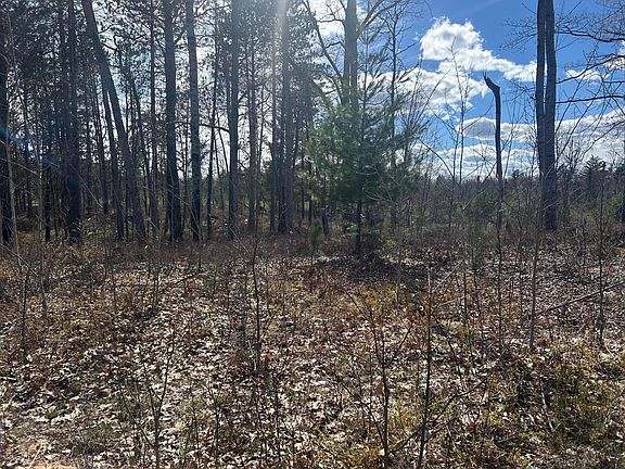 5th image of Lots 80 81 S Paradise Rd