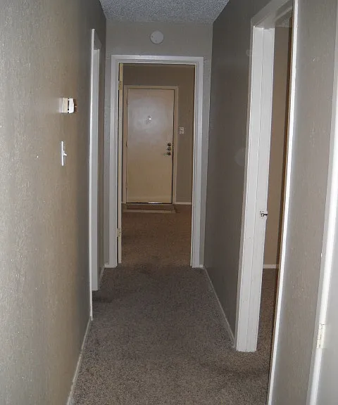 925 Minter Ln — Photo 5