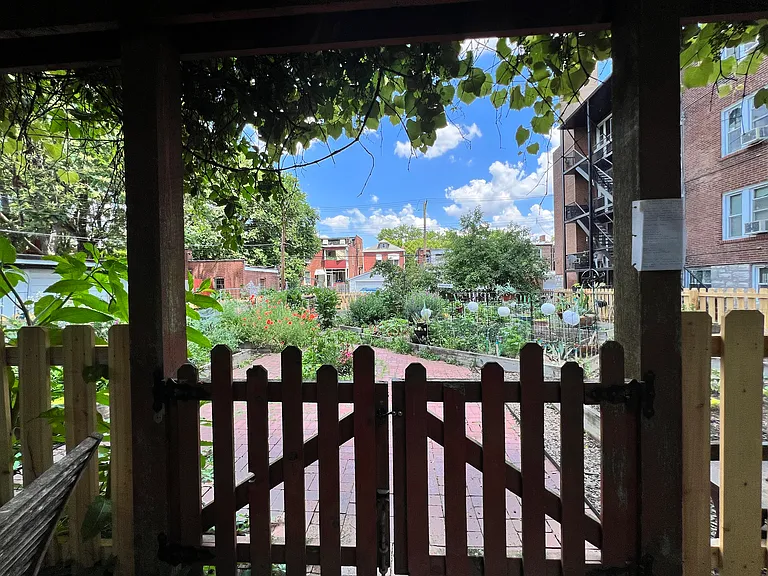 A view under our edible grape pergola as you enter the community garden.